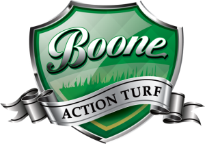Boone Action Turf