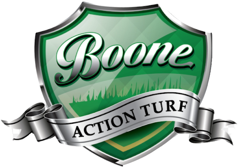Boone Action Turf